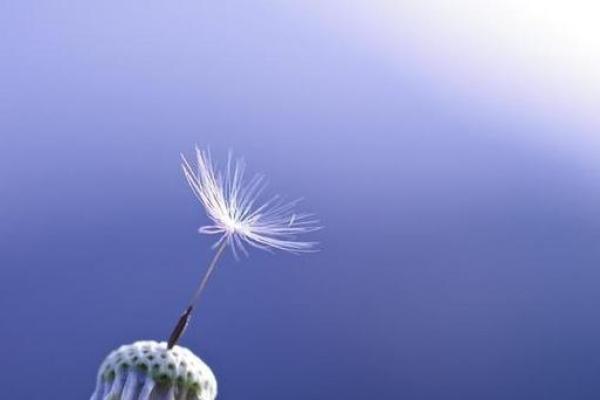 山下火命与哪些命相配,携手共创美好人生 山下火命与哪些命相配,携手共创美好人生