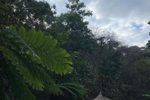 什么是男命女命?浅析命理对人生的影响与解读 什么是男命女命?浅析命理对人生的影响与解读