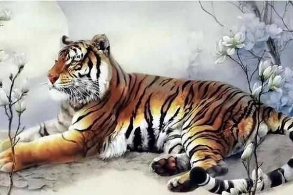 十月虎宝宝:强势气质与命运解析,适合哪些生肖 十月虎宝宝:强势气质与命运解析,适合哪些生肖