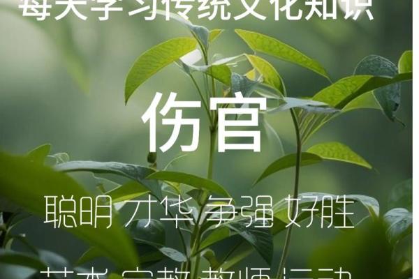伤官多的女性命运:那些熠熠生辉的名人故事 伤官多的女性命运:那些熠熠生辉的名人故事