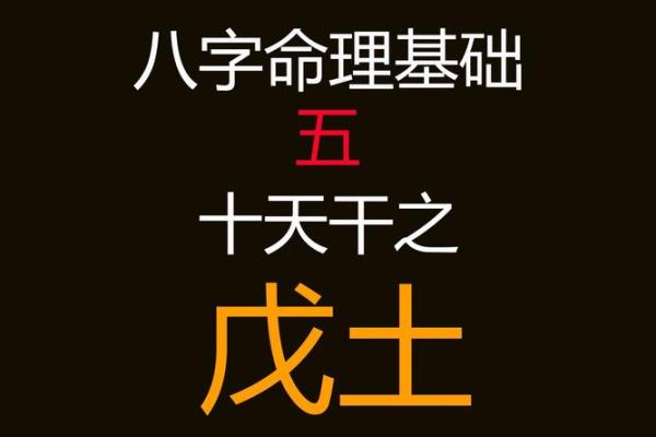 男土命与其他命理的最佳配对探讨