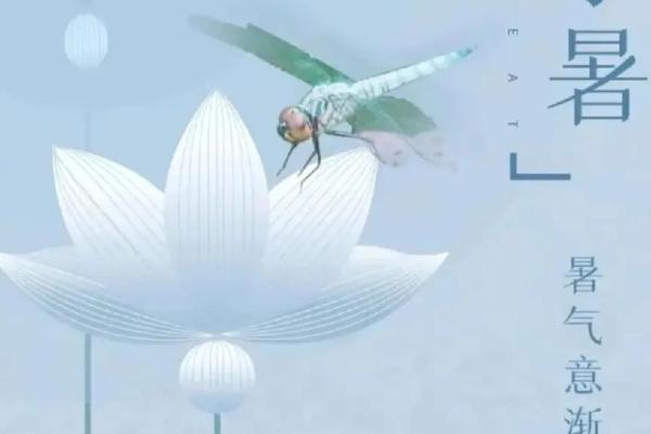 壬寅虎年二月初九的命理揭秘:探寻命运奥秘与人生智慧 壬寅虎年二月初九的命理揭秘:探寻命运奥秘与人生智慧