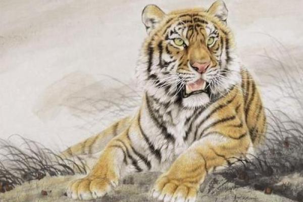 属虎二月生的命运解析:勇敢与智慧的结合之旅 属虎二月生的命运解析:勇敢与智慧的结合之旅