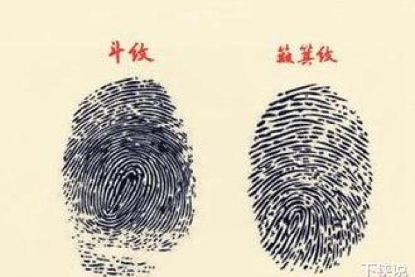 手指10个簸箕解密:你的人生命运藏在手指尖! 手指10个簸箕解密:你的人生命运藏在手指尖!