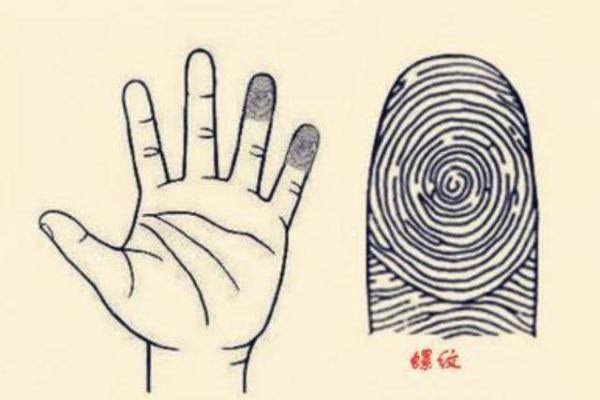 手指10个簸箕解密:你的人生命运藏在手指尖! 手指10个簸箕解密:你的人生命运藏在手指尖!