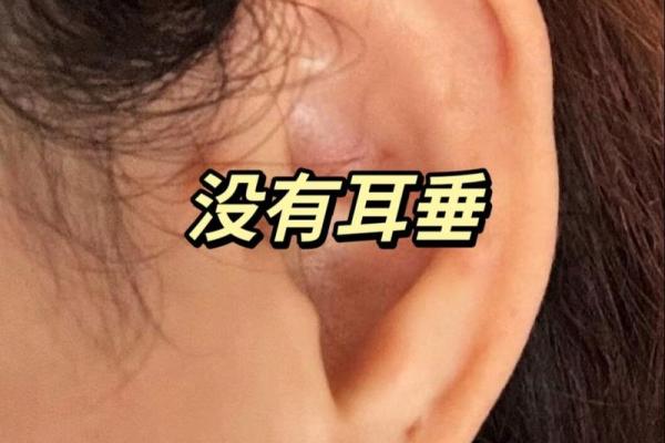 女人耳垂有肉的命运解析:财富、健康与幸福的象征 女人耳垂有肉的命运解析:财富、健康与幸福的象征
