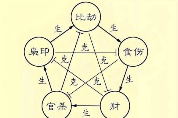 木命人如何找到最佳命理伴侣与事业发展之路 木命人如何找到最佳命理伴侣与事业发展之路