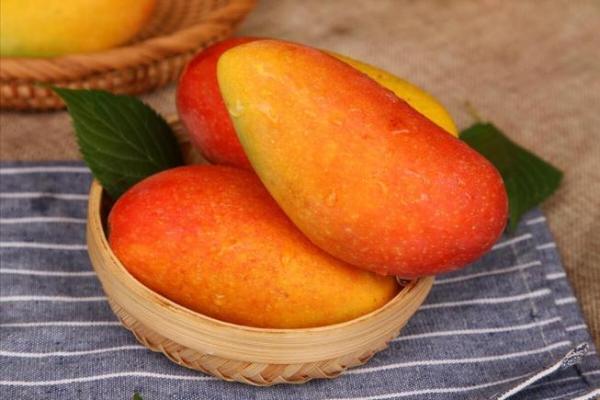 属猴的人最理想的贵人生肖揭秘,助你事业腾飞! 属猴的人最理想的贵人生肖揭秘,助你事业腾飞!