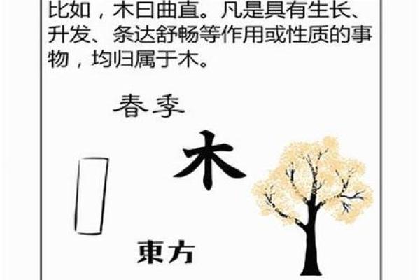 如何为五行属木命的孩子起一个好名字? 如何为五行属木命的孩子起一个好名字?
