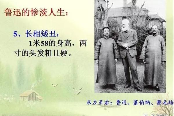 七十四岁出生的人命运解析:探寻命理的奥秘与人生的智慧 七十四岁出生的人命运解析:探寻命理的奥秘与人生的智慧