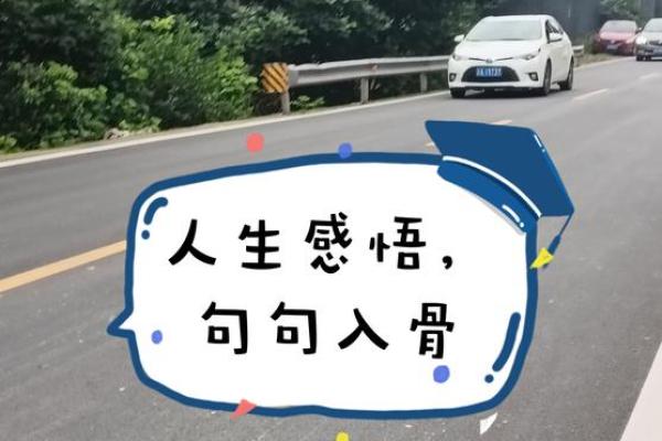 揭秘城头土命:人生的财富与机遇之道 揭秘城头土命:人生的财富与机遇之道