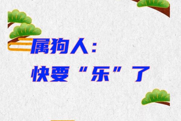 属狗的财神五行属什么命 揭秘狗年生财之道! 属狗的财神五行属什么命 揭秘狗年生财之道!