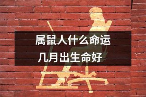 属鼠的三月命运:解读鼠年三月的五行与命理 属鼠的三月命运:解读鼠年三月的五行与命理