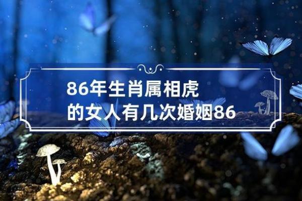 解析1986年虎命:生肖与命理的深刻结合 解析1986年虎命:生肖与命理的深刻结合