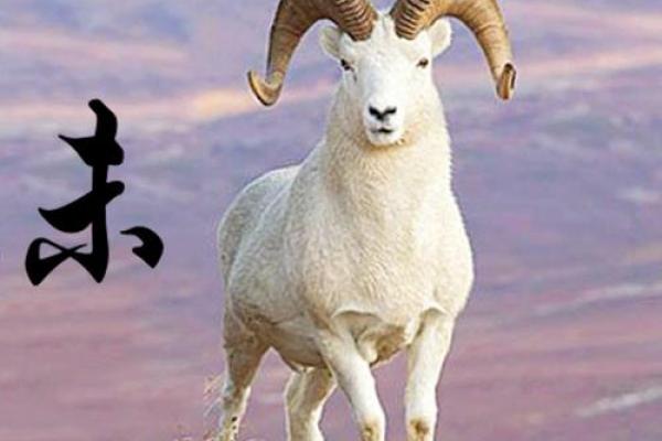 属羊六月生日的人命运解析:性格与运势的完美契合 属羊六月生日的人命运解析:性格与运势的完美契合