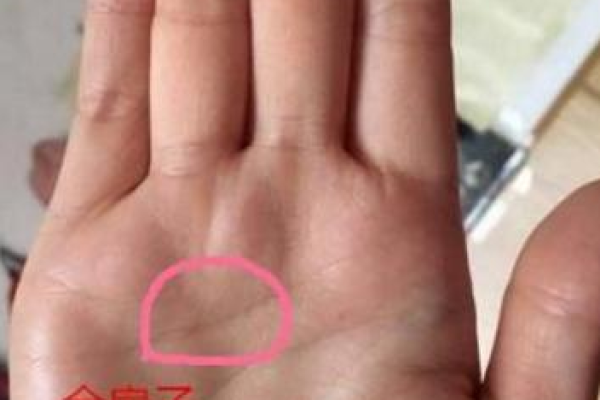 揭示小姐命格：如何辨别女命的富贵潜质