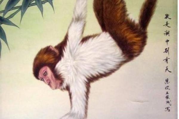 属猴2004年命运解析:寻找个人成长和财富积累的最佳途径 属猴2004年命运解析:寻找个人成长和财富积累的最佳途径