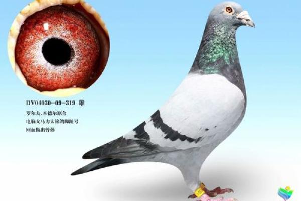 十一点出生的马:福星高照,命势如虹的命运之旅 十一点出生的马:福星高照,命势如虹的命运之旅