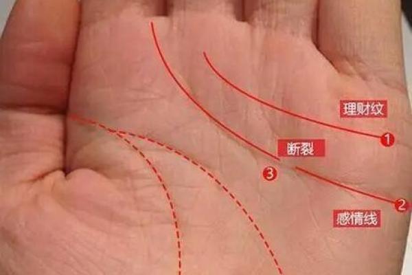 揭示手相之谜:女生手掌四条线暗藏的命运秘密 揭示手相之谜:女生手掌四条线暗藏的命运秘密