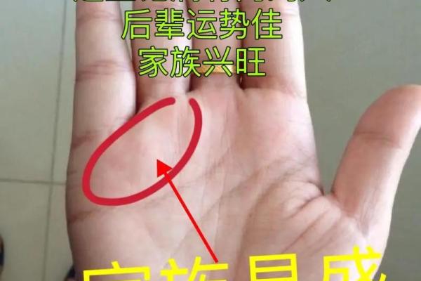 揭示手相之谜:女生手掌四条线暗藏的命运秘密 揭示手相之谜:女生手掌四条线暗藏的命运秘密