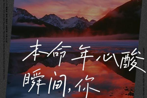 守命与冲命:命运如何塑造我们的生活选择与信念 守命与冲命:命运如何塑造我们的生活选择与信念