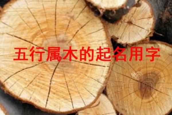 木命牛与其他命理的最佳配对,发展顺利的人生之路 木命牛与其他命理的最佳配对,发展顺利的人生之路