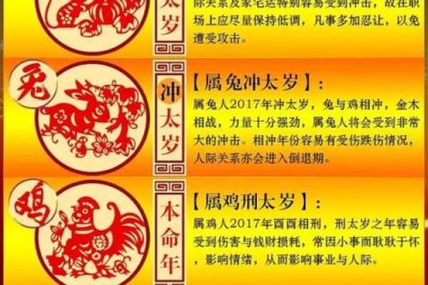生肖虎木命人适合的职业选择与发展建议解析 生肖虎木命人适合的职业选择与发展建议解析