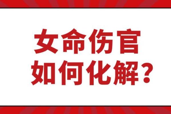 女人八字纯阴：探秘命运的神秘面纱与幸福之路