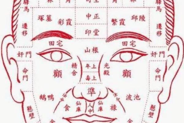 如何通过面相和生辰八字看一个人的命运 如何通过面相和生辰八字看一个人的命运