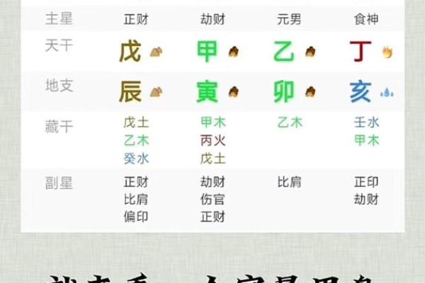 伤官生劫财的命理解析与人生启示 伤官生劫财的命理解析与人生启示