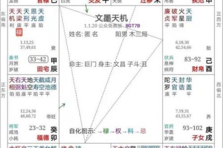 深入探讨壬戌命的特性与乾命的关系