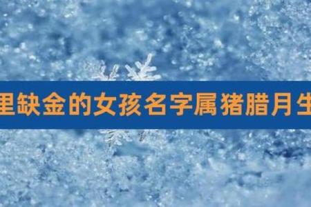 属鼠猪五行命理分析：人生运势与性格特征解析