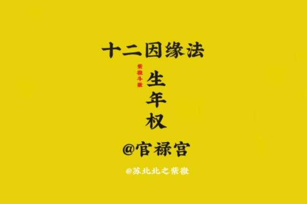 什么命与什么命般配最好:探寻命理学的奥秘与智慧 什么命与什么命般配最好:探寻命理学的奥秘与智慧