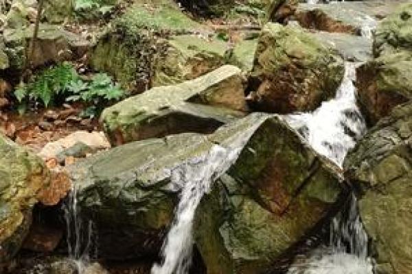 山涧水命:静水流深,智慧与柔韧的命格解析 山涧水命:静水流深,智慧与柔韧的命格解析