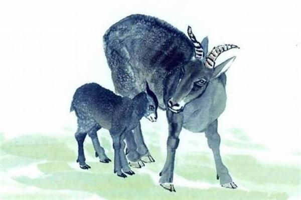 揭秘1967年生肖羊命运:性格、职业与爱情的深度解析 揭秘1967年生肖羊命运:性格、职业与爱情的深度解析