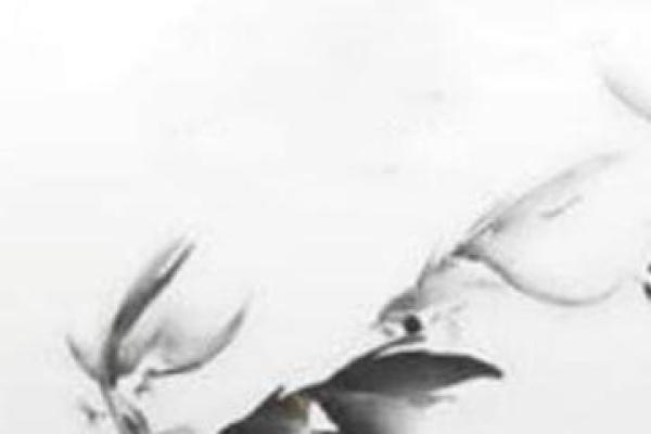 嗜睡如命,这几种生肖女真是宅在家中的“睡神”! 嗜睡如命,这几种生肖女真是宅在家中的“睡神”!