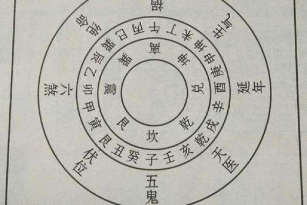 东四命与西四命的区别：命理的深邃与智慧