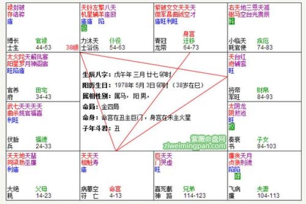 揭开紫薇命盘的神秘面纱：她是命中注定的娘娘？