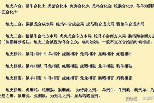 十五岁属鼠女孩:解密命理与人生的潜力与挑战 十五岁属鼠女孩:解密命理与人生的潜力与挑战