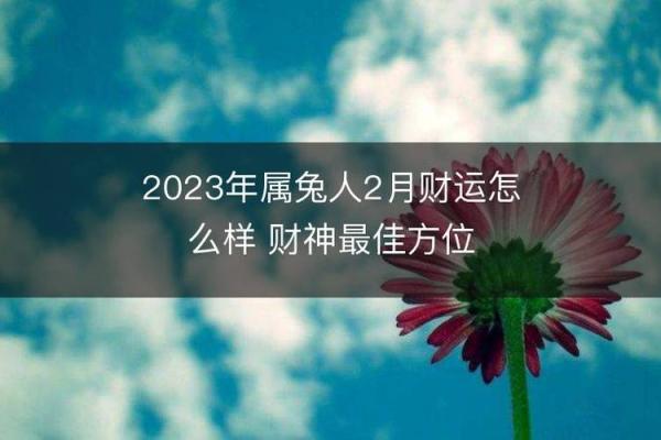 属兔1963年出生命理解析:运势与发展之路 属兔1963年出生命理解析:运势与发展之路