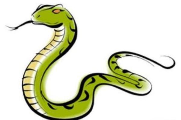 属蛇七月出生的人命运解析:智慧与坚韧的完美结合 属蛇七月出生的人命运解析:智慧与坚韧的完美结合