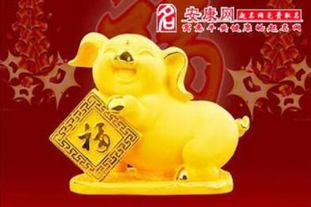 属猪1983年：那些与猪年相伴的人生智慧与启示