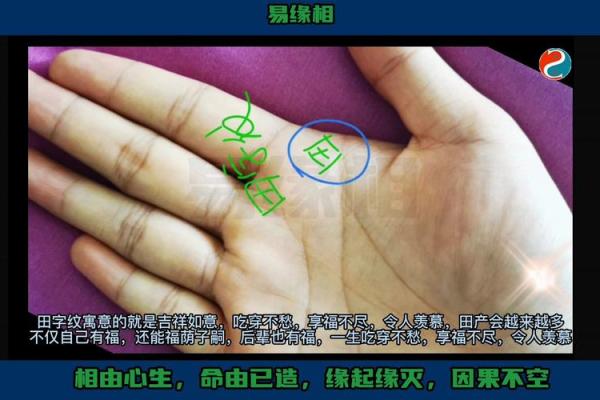 手纹如山川，命运玄机探究之旅