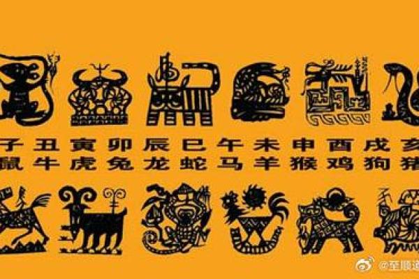 什么生肖命最好排名,揭秘你的运势与性格 什么生肖命最好排名,揭秘你的运势与性格