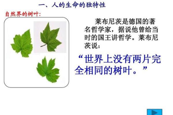 农历8月22日出生的人命理解析:探寻生命的独特轨迹 农历8月22日出生的人命理解析:探寻生命的独特轨迹