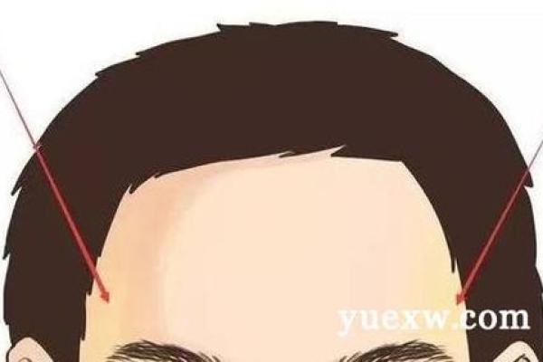 从额头看命运:揭秘男人额头的命理智慧 从额头看命运:揭秘男人额头的命理智慧