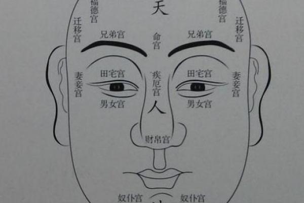 从额头看命运:揭秘男人额头的命理智慧 从额头看命运:揭秘男人额头的命理智慧