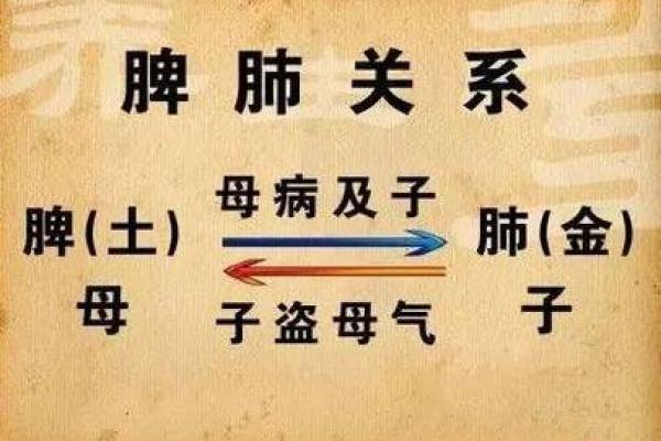 属鸡之人五行论：65岁后的命运与生活启示！