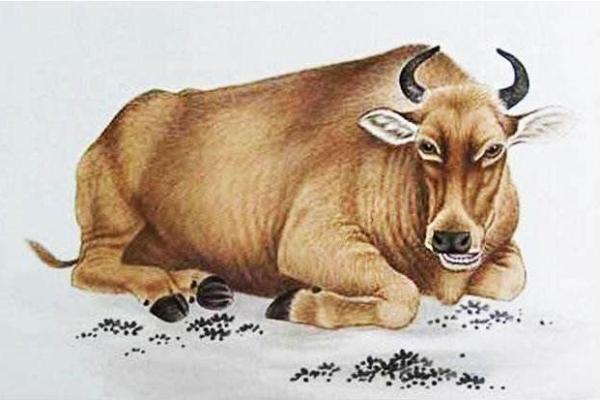 属牛十月生日的命运解析:你是怎样的独特存在? 属牛十月生日的命运解析:你是怎样的独特存在?