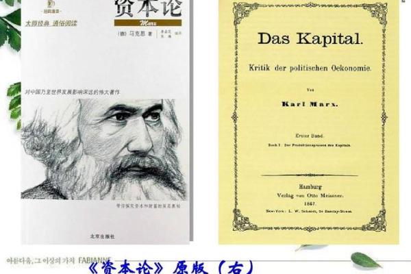深入解析“人的命是官人”背后的哲学与人生智慧 深入解析“人的命是官人”背后的哲学与人生智慧